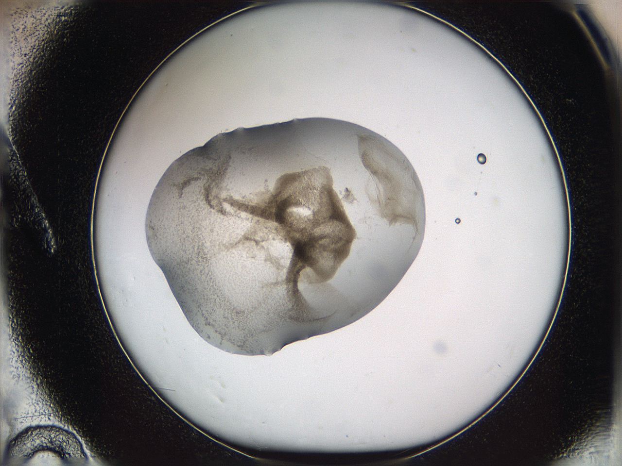 05w3_A10_ImagerDefaults_3.jpg