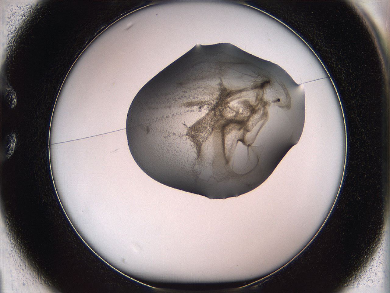 05w3_C1_ImagerDefaults_3.jpg