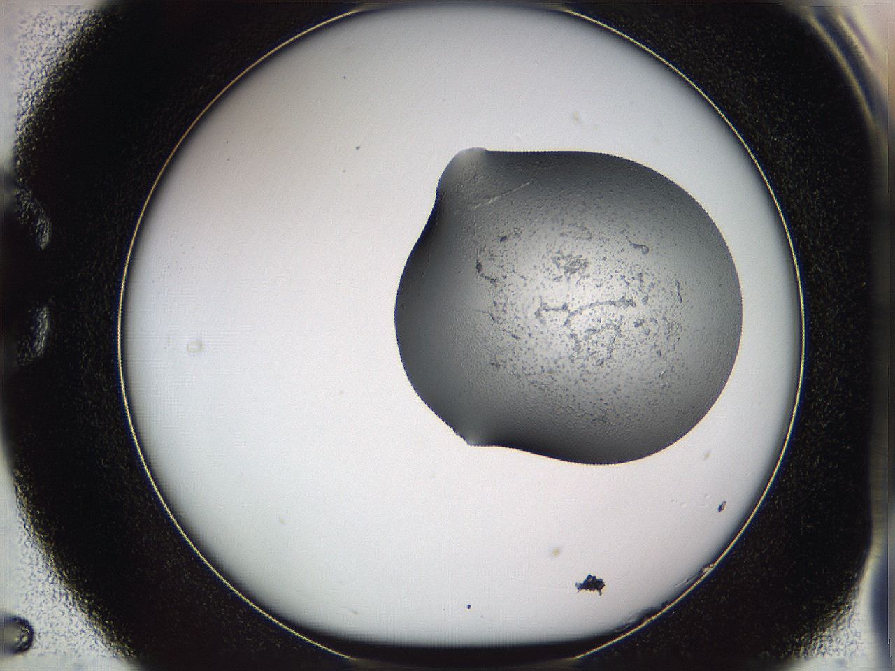05w3_C5_ImagerDefaults_3.jpg