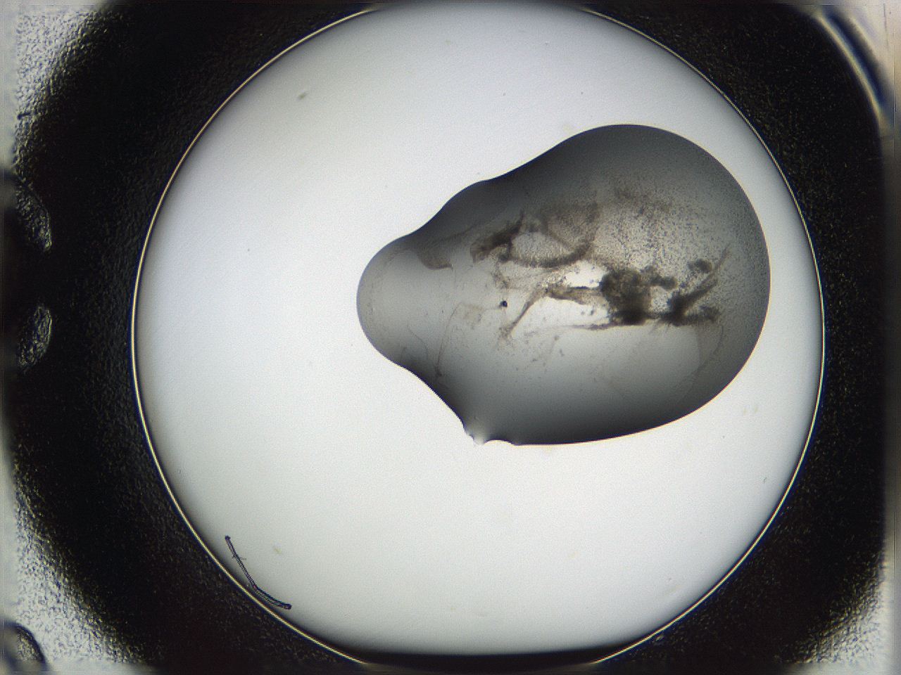 05w3_C9_ImagerDefaults_3.jpg
