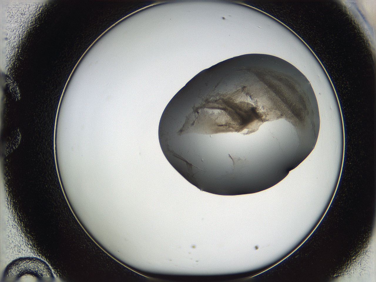 05w3_C10_ImagerDefaults_3.jpg