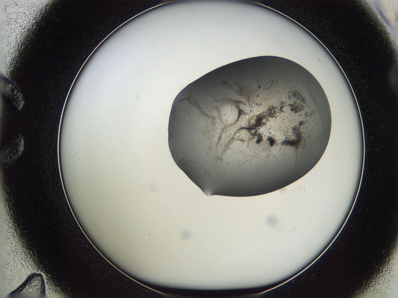 05w3_C11_ImagerDefaults_3.jpg