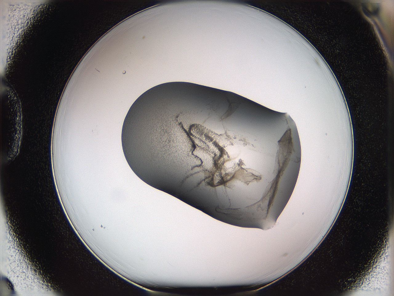 05w3_D3_ImagerDefaults_3.jpg