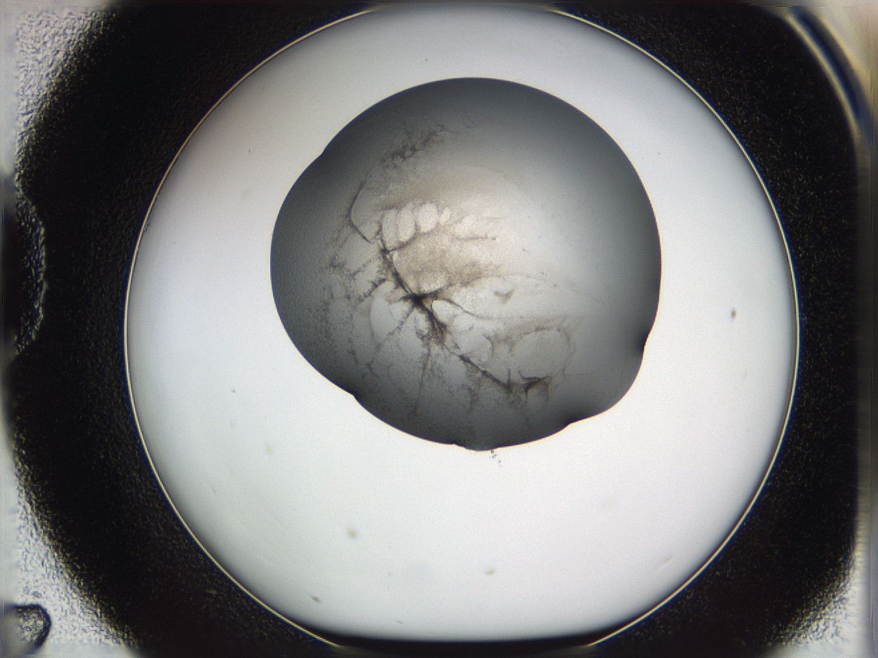 05w3_D7_ImagerDefaults_3.jpg