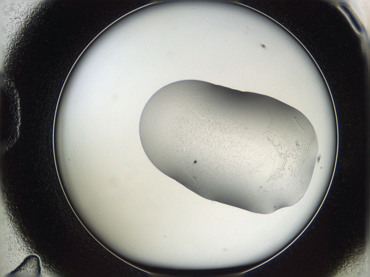 05w3_D11_ImagerDefaults_3.jpg
