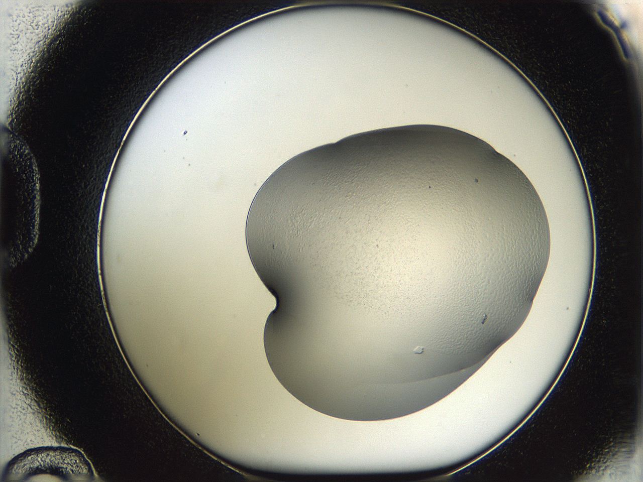 05w3_D12_ImagerDefaults_2.jpg
