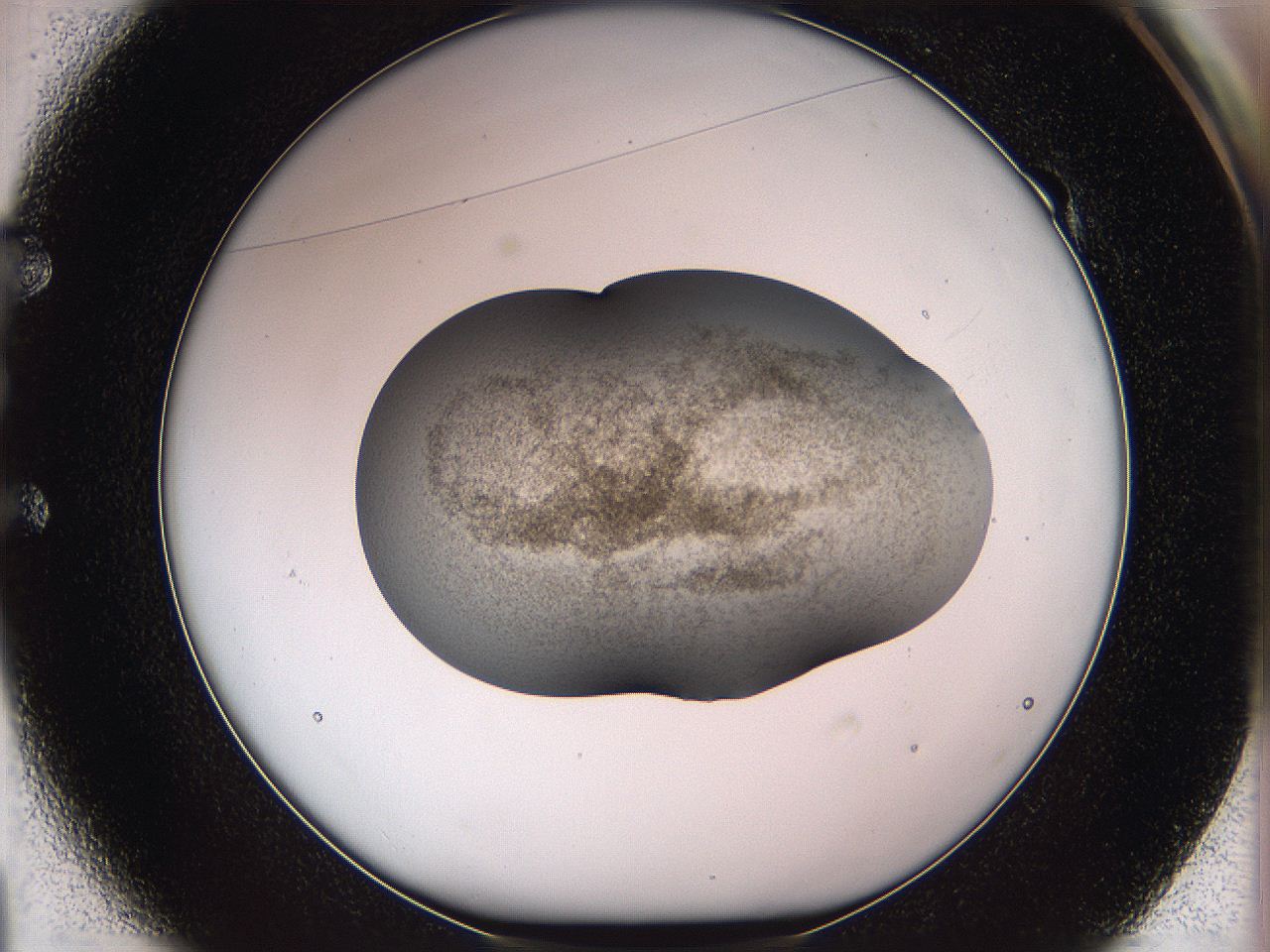 05w3_E1_ImagerDefaults_3.jpg