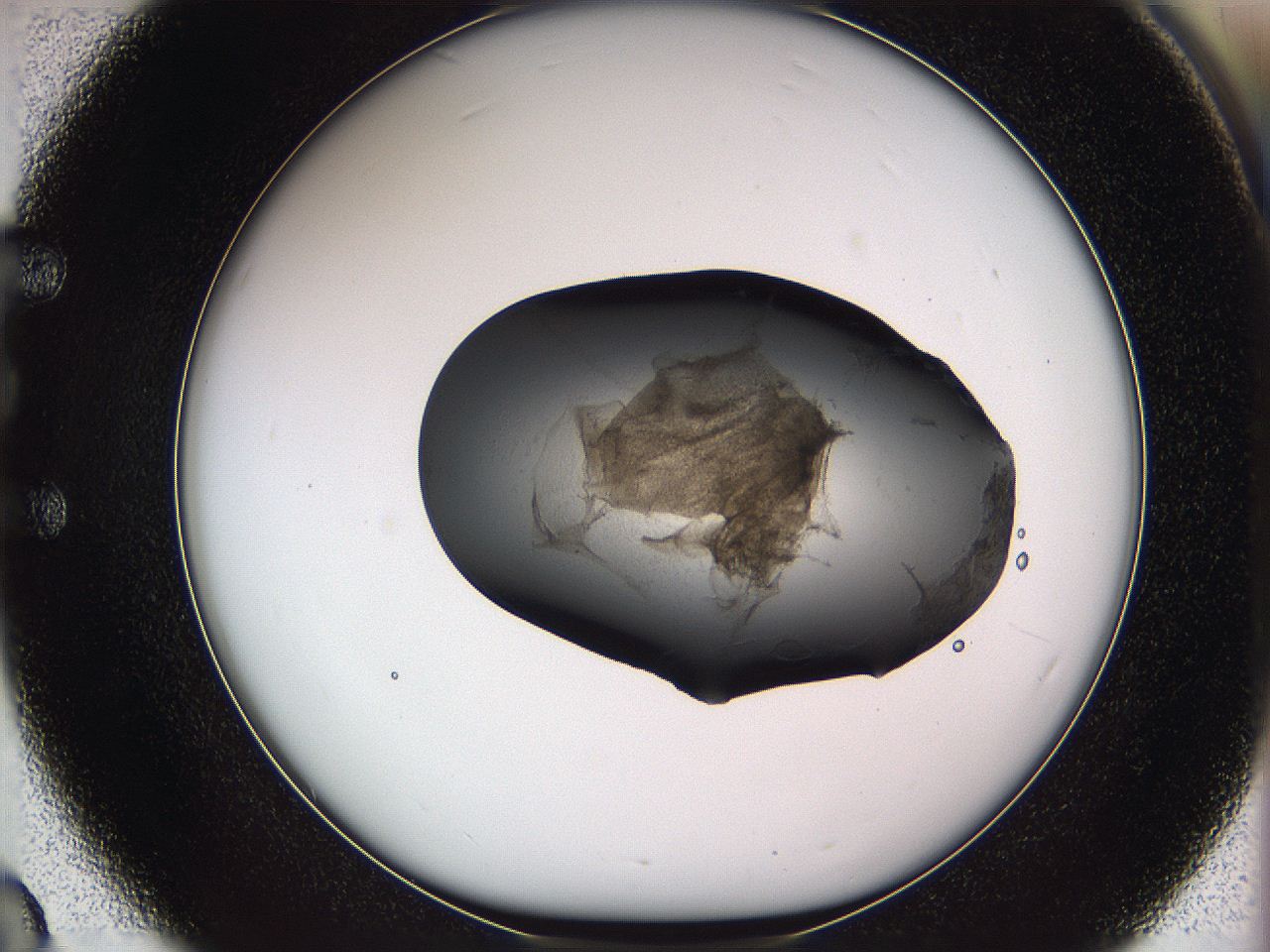 05w3_E3_ImagerDefaults_3.jpg