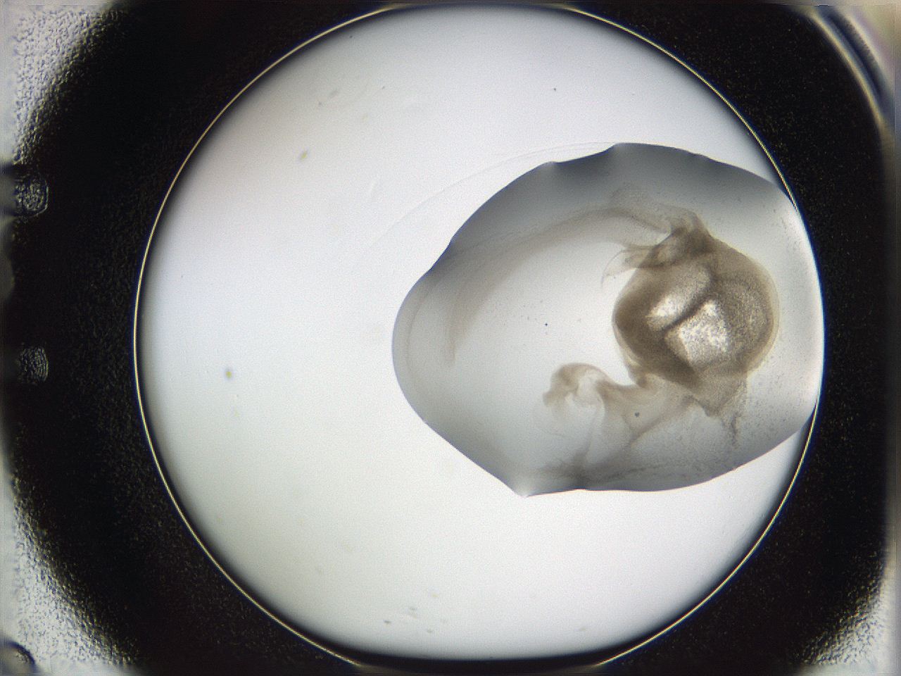 05w3_E9_ImagerDefaults_3.jpg