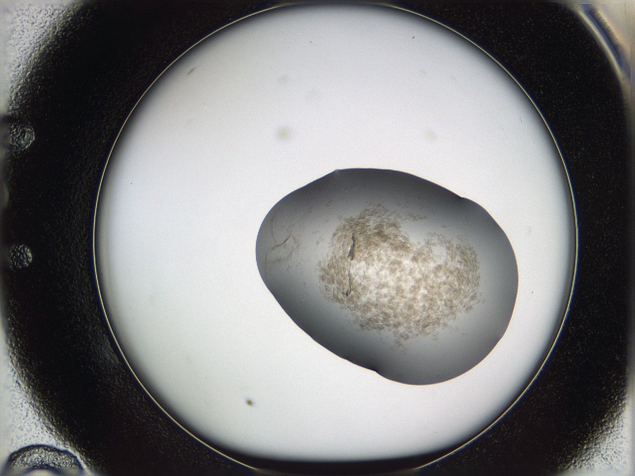 05w3_E10_ImagerDefaults_3.jpg