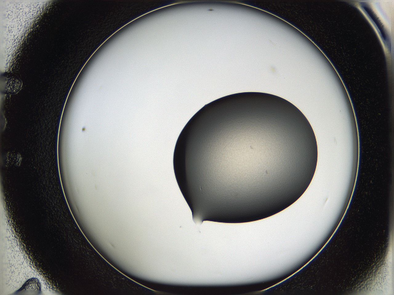 05w3_E11_ImagerDefaults_1.jpg
