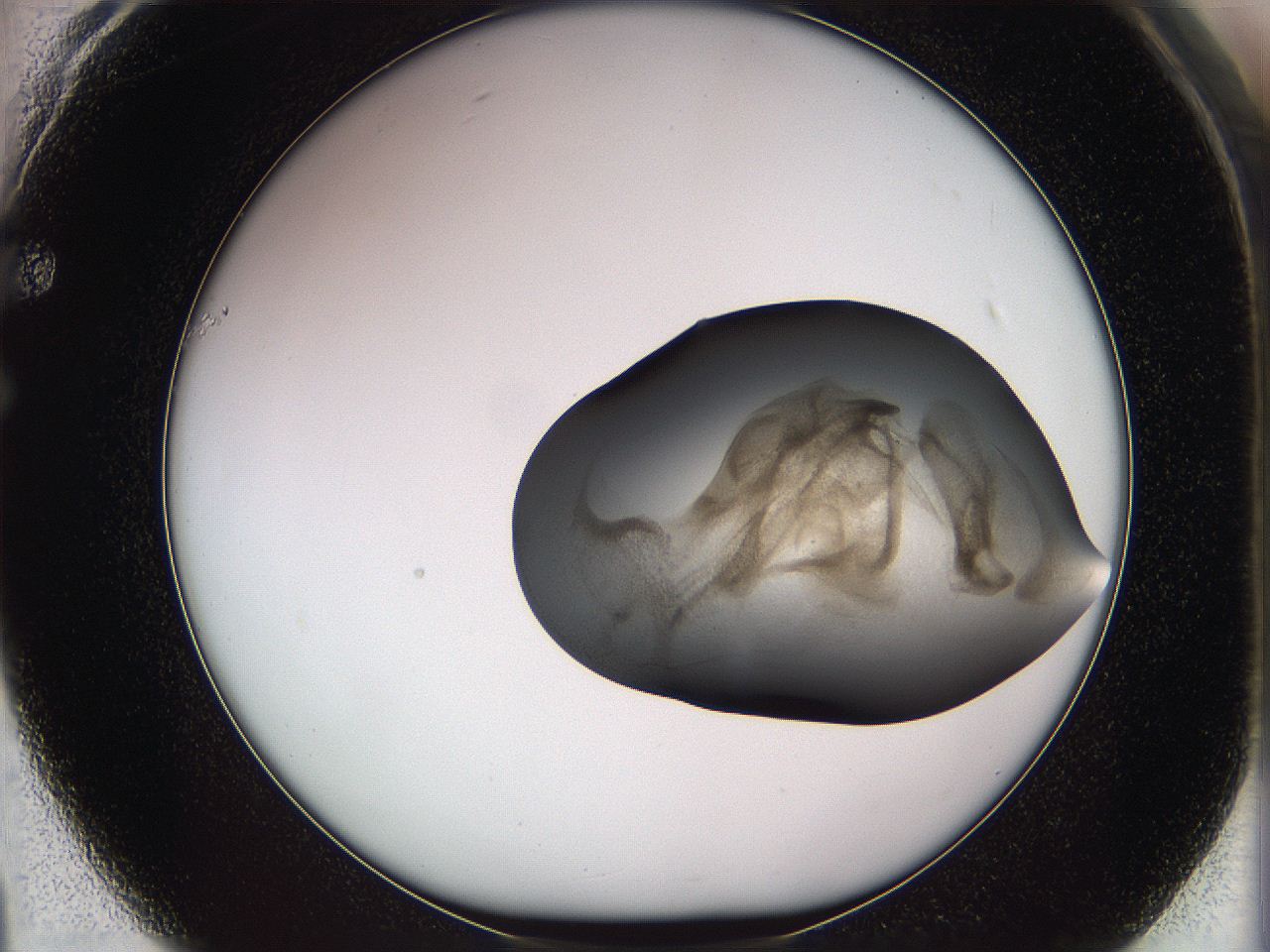 05w3_F1_ImagerDefaults_3.jpg