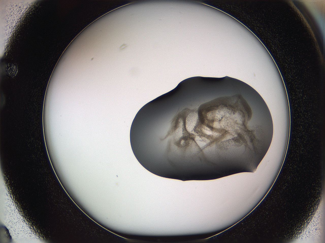 05w3_F3_ImagerDefaults_3.jpg