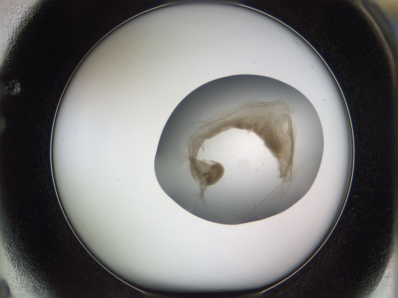 05w3_F4_ImagerDefaults_3.jpg