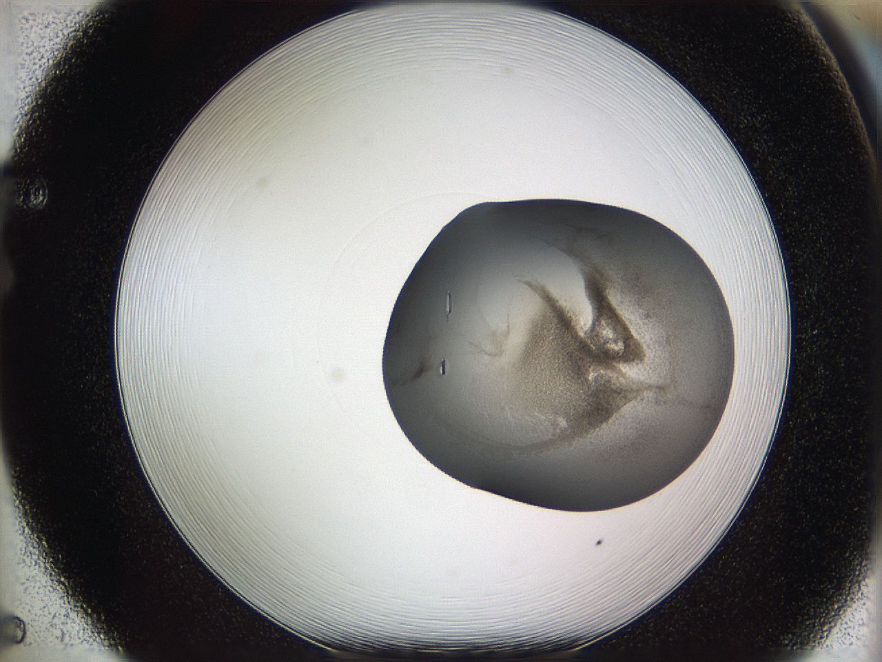 05w3_F5_ImagerDefaults_3.jpg