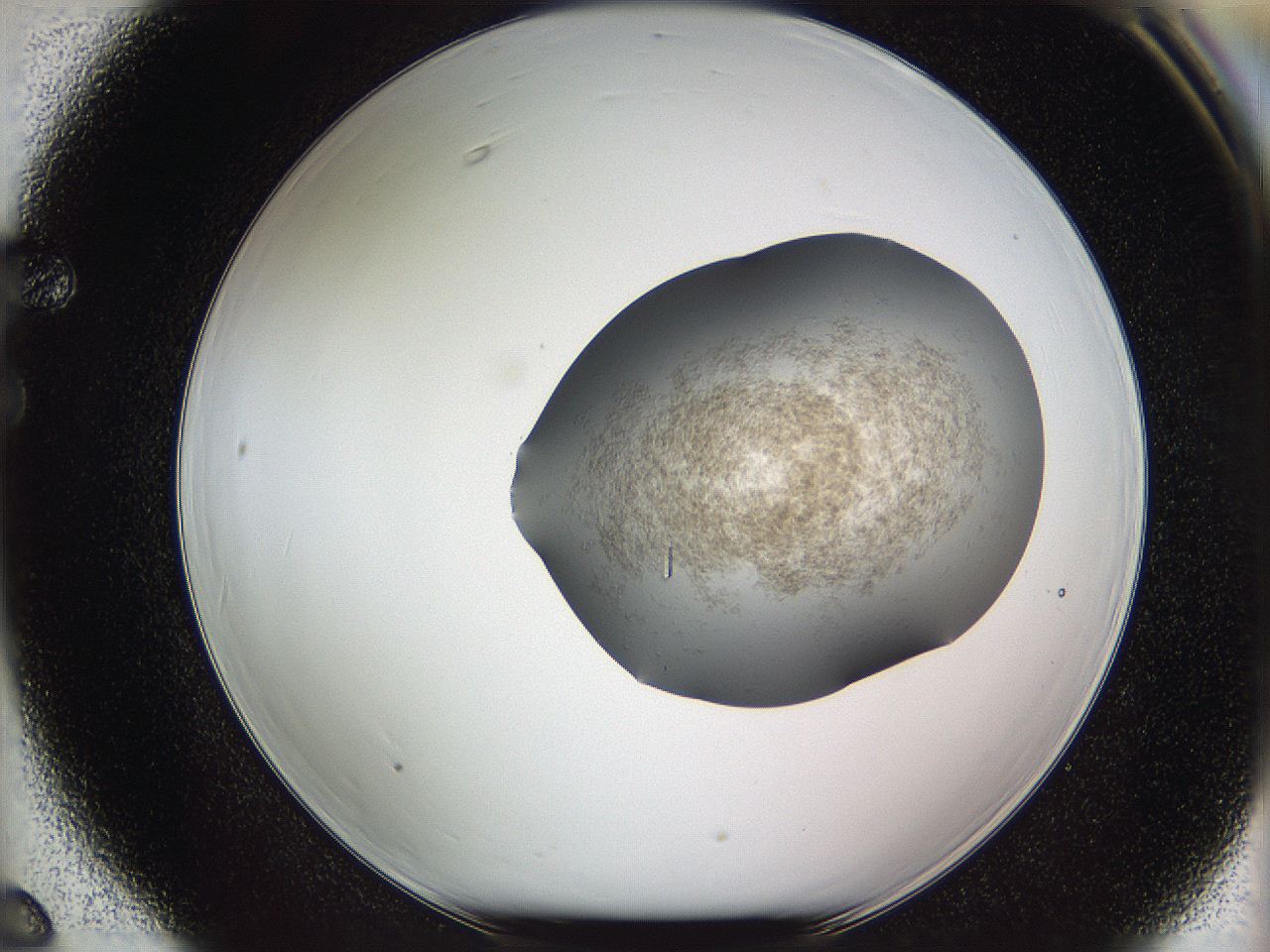 05w3_F6_ImagerDefaults_3.jpg