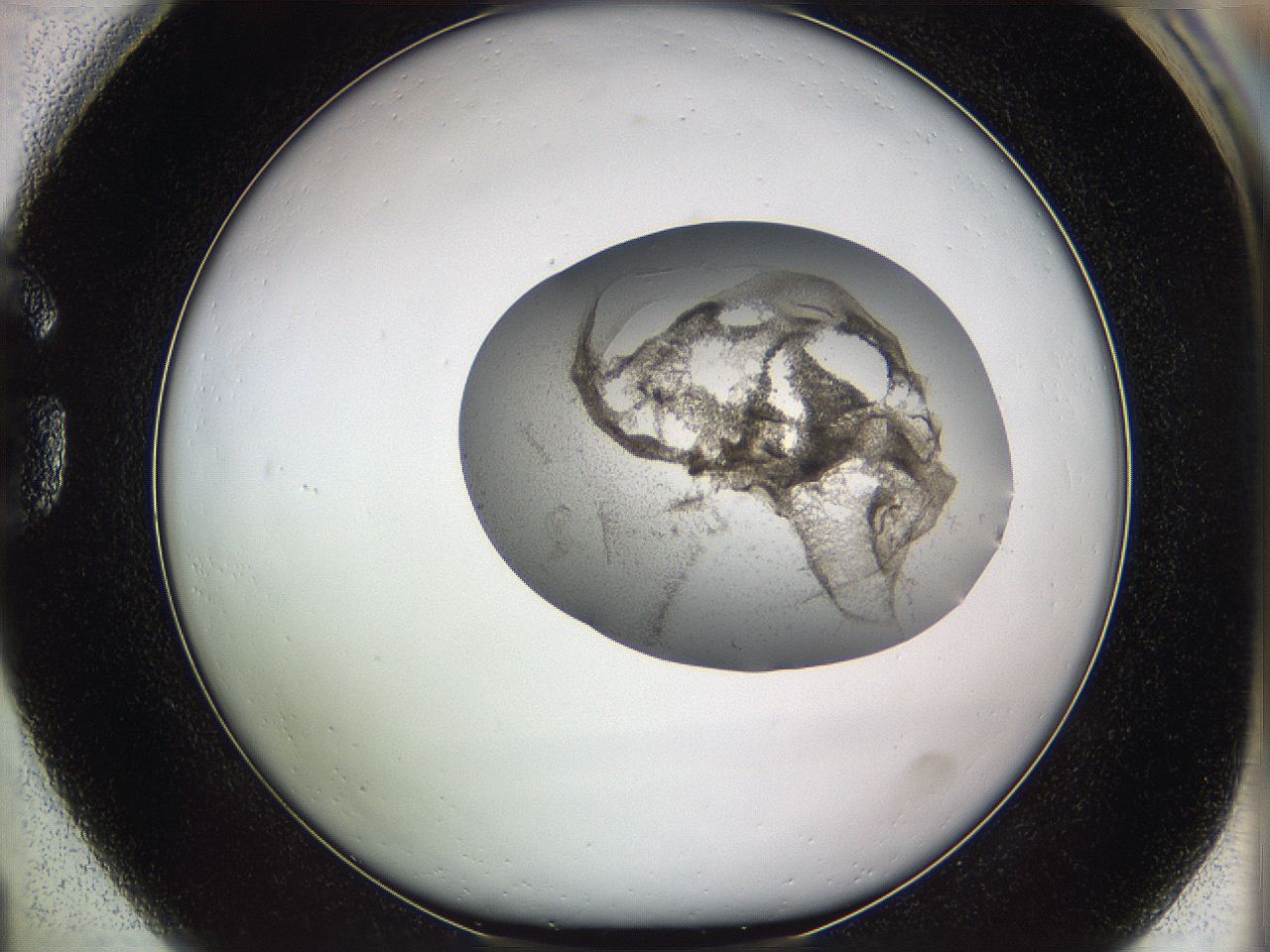 05w3_G1_ImagerDefaults_3.jpg