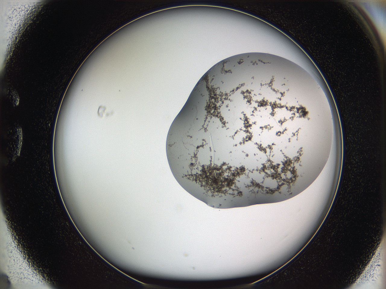 05w3_G4_ImagerDefaults_3.jpg