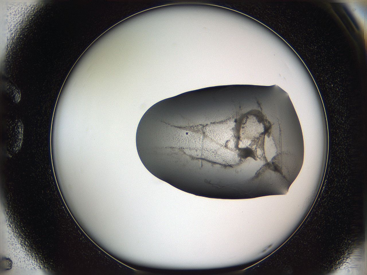 05w3_G5_ImagerDefaults_3.jpg
