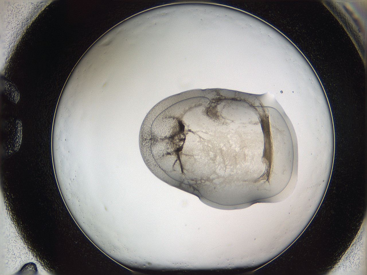 05w3_G11_ImagerDefaults_3.jpg