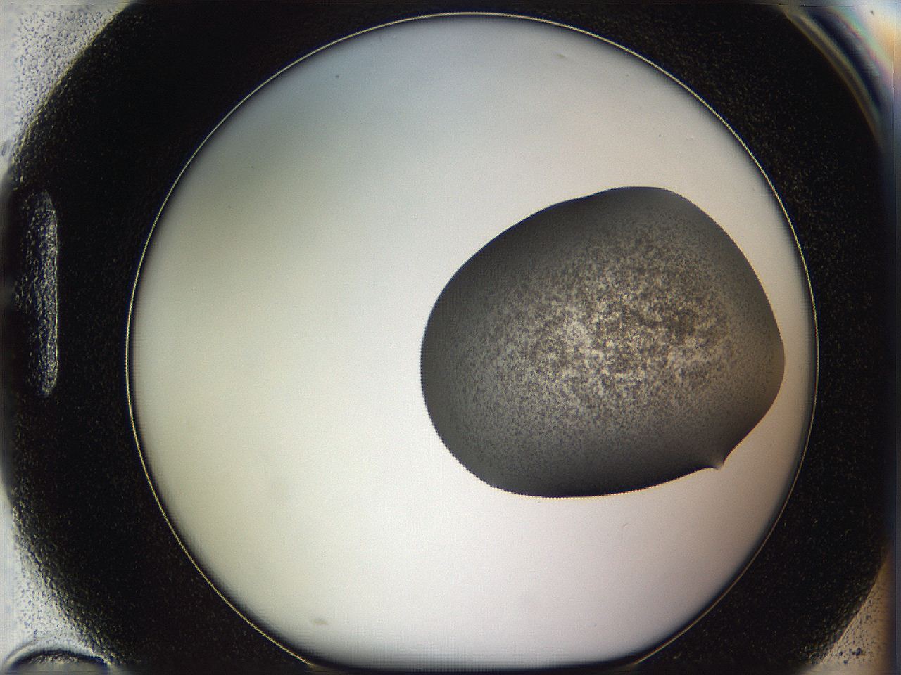 05w3_H10_ImagerDefaults_3.jpg