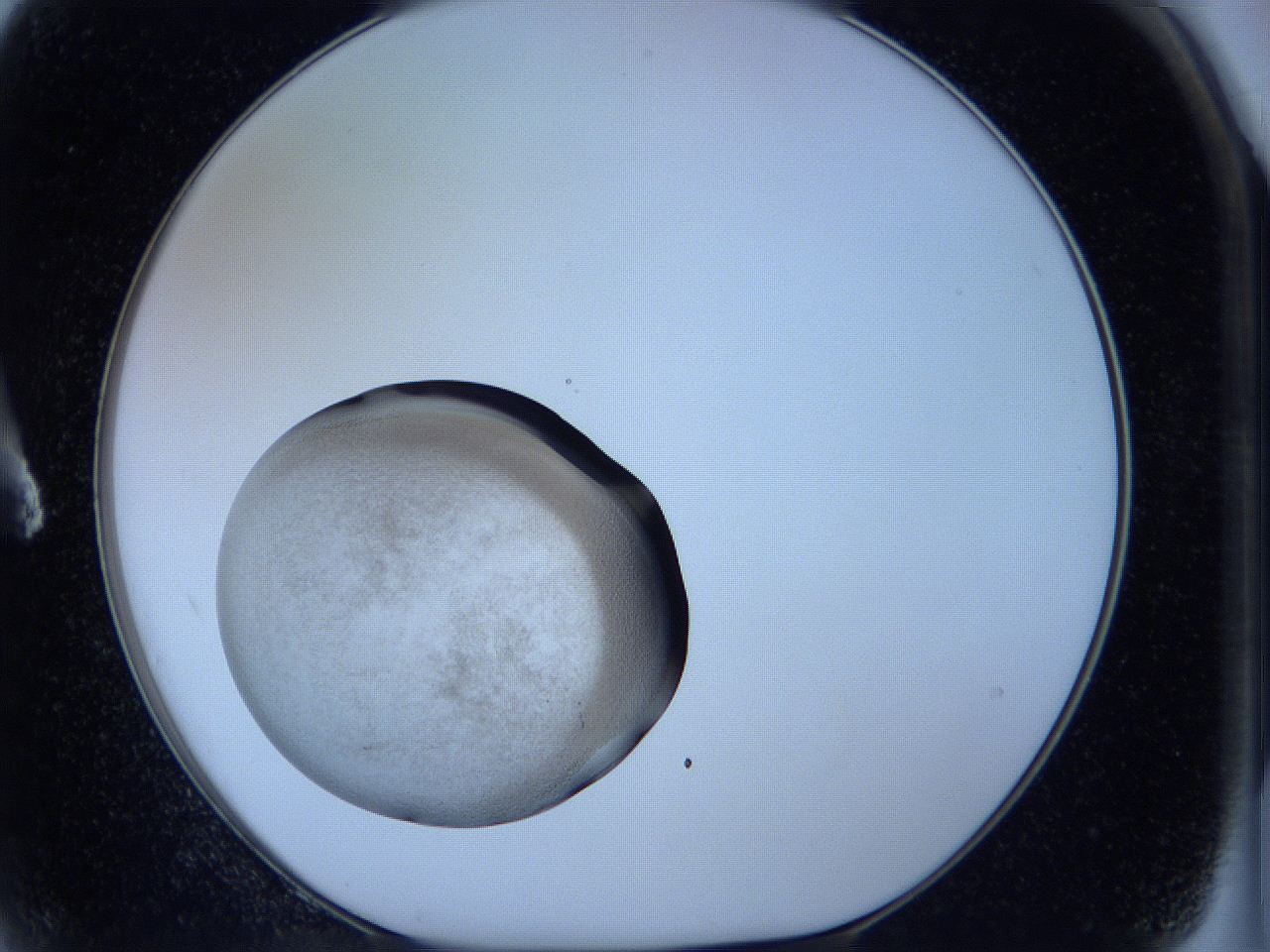 05w4_A2_ImagerDefaults_3.jpg