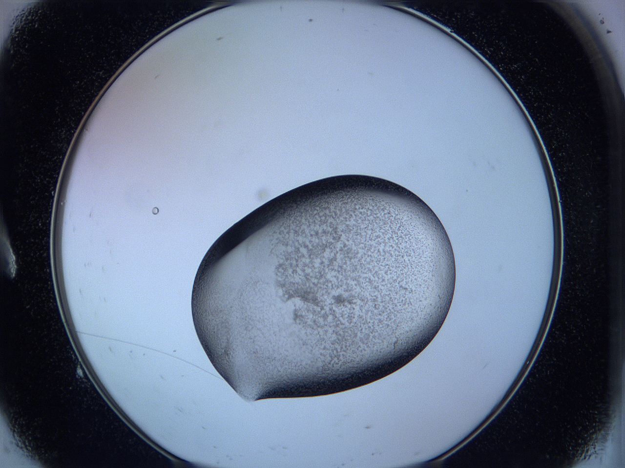 05w4_A9_ImagerDefaults_3.jpg