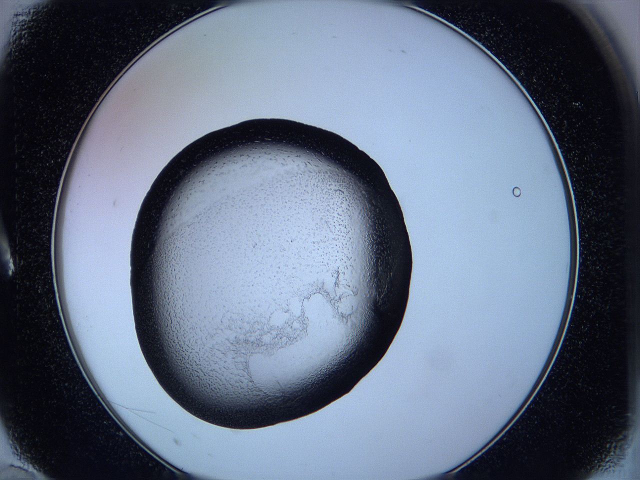 05w4_A10_ImagerDefaults_3.jpg