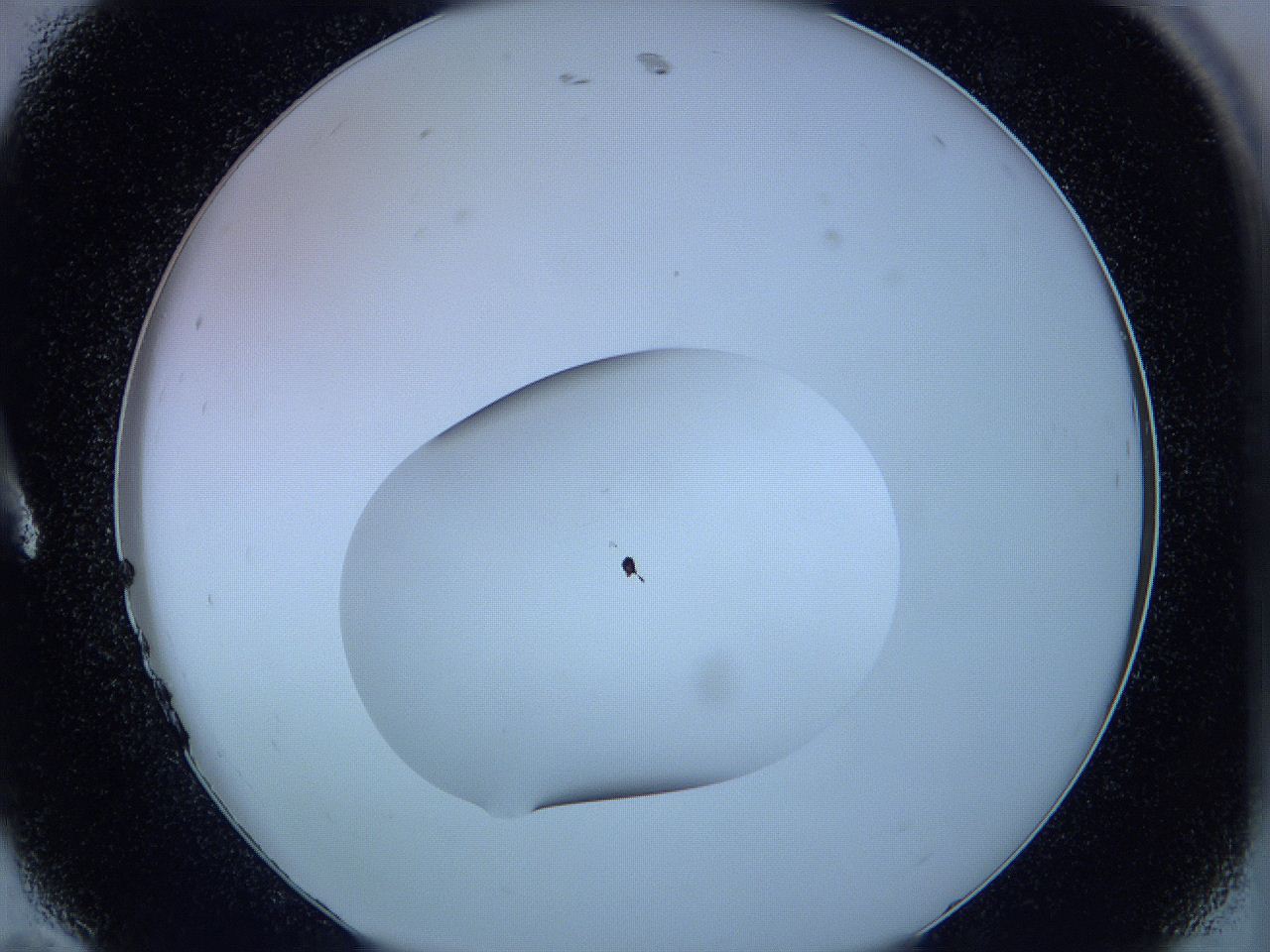 05w4_A11_ImagerDefaults_1.jpg