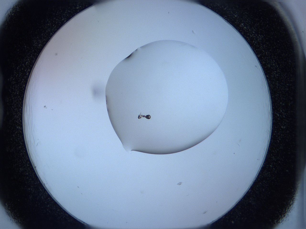 05w4_B6_ImagerDefaults_1.jpg