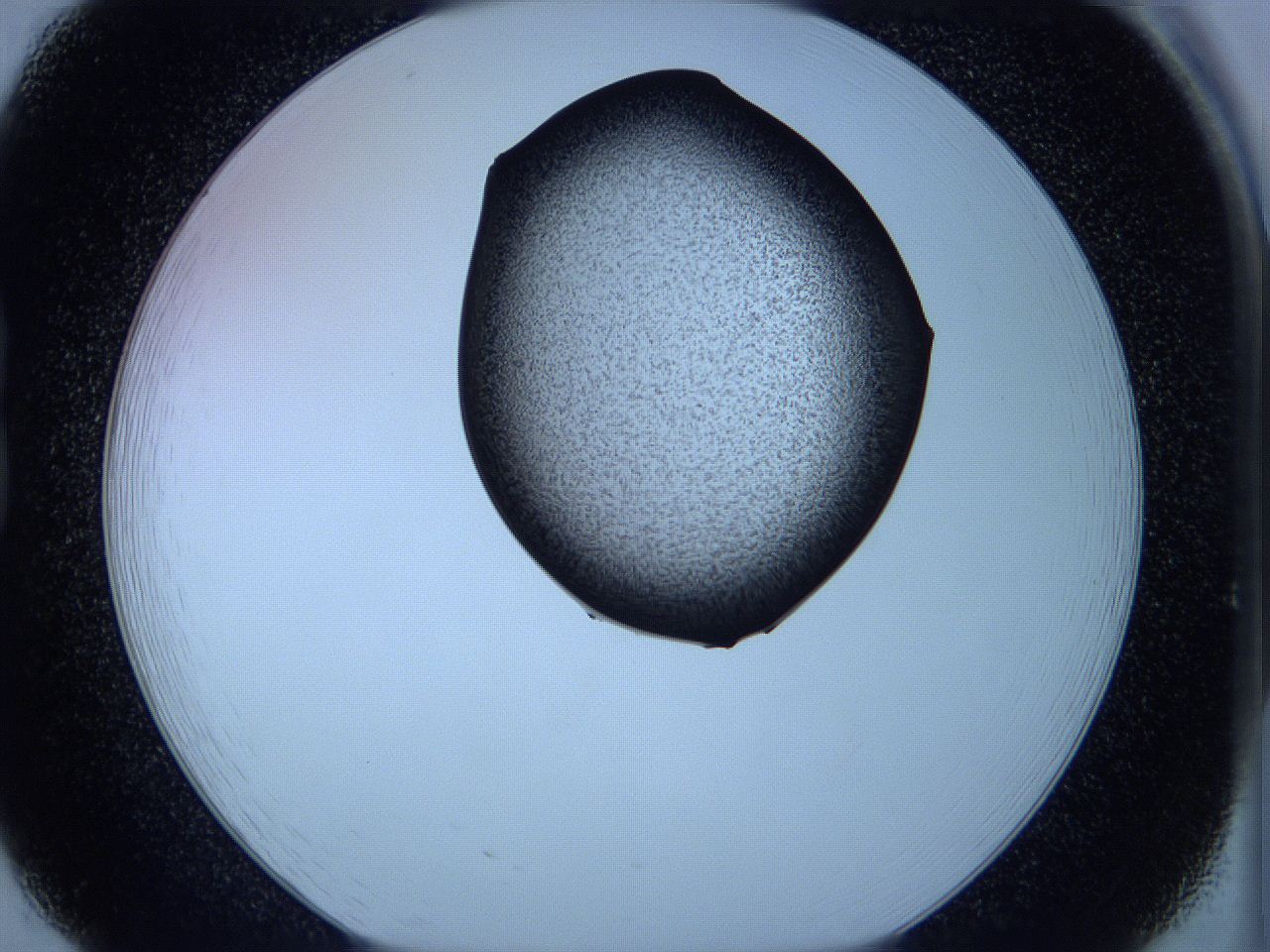 05w4_B8_ImagerDefaults_3.jpg