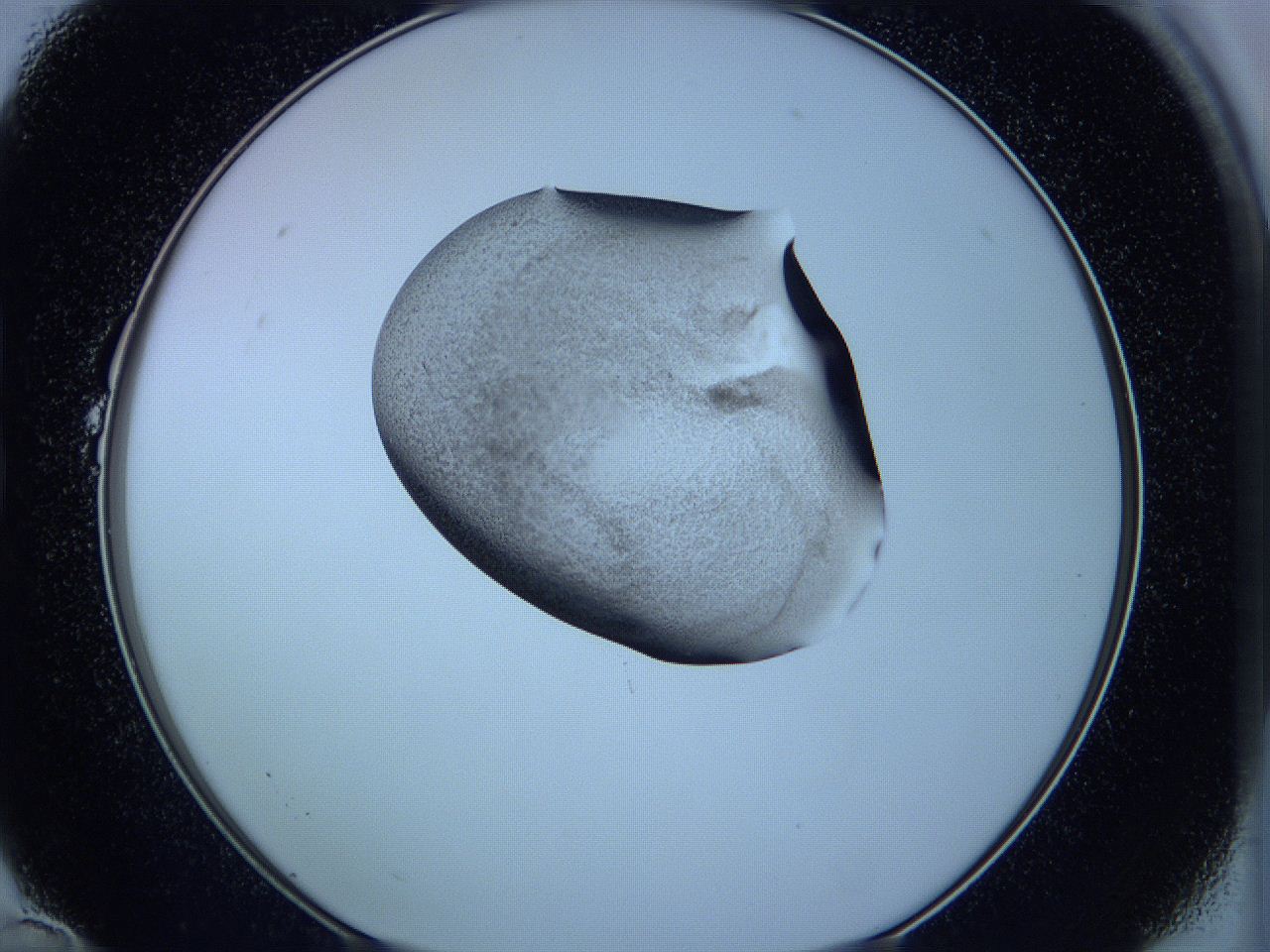 05w4_B10_ImagerDefaults_3.jpg