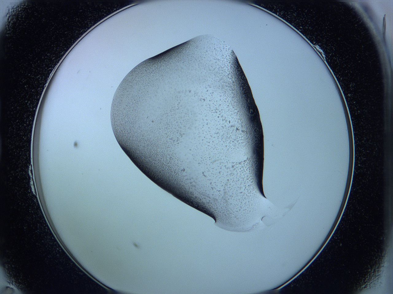 05w4_B11_ImagerDefaults_3.jpg