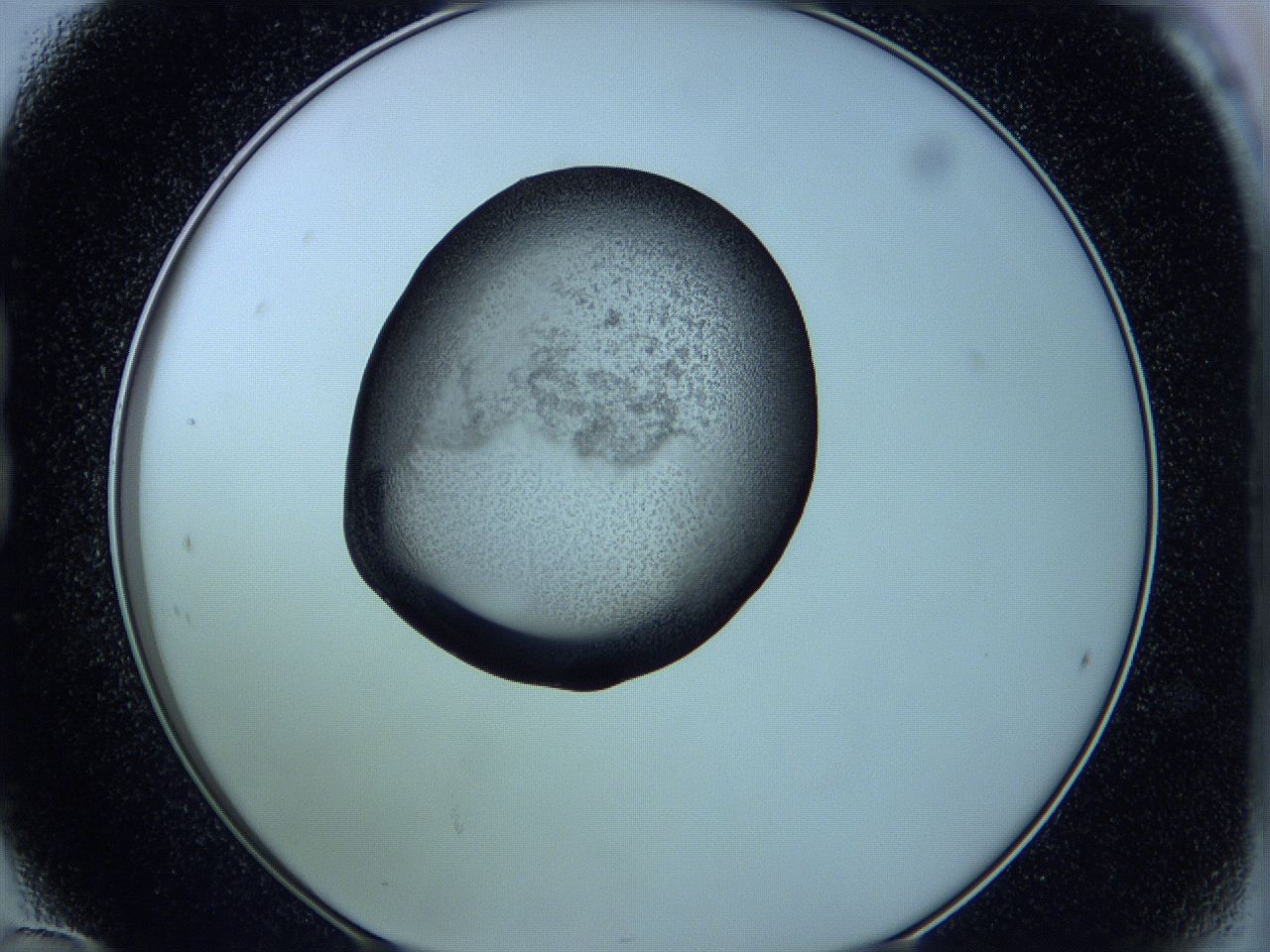 05w4_B12_ImagerDefaults_3.jpg