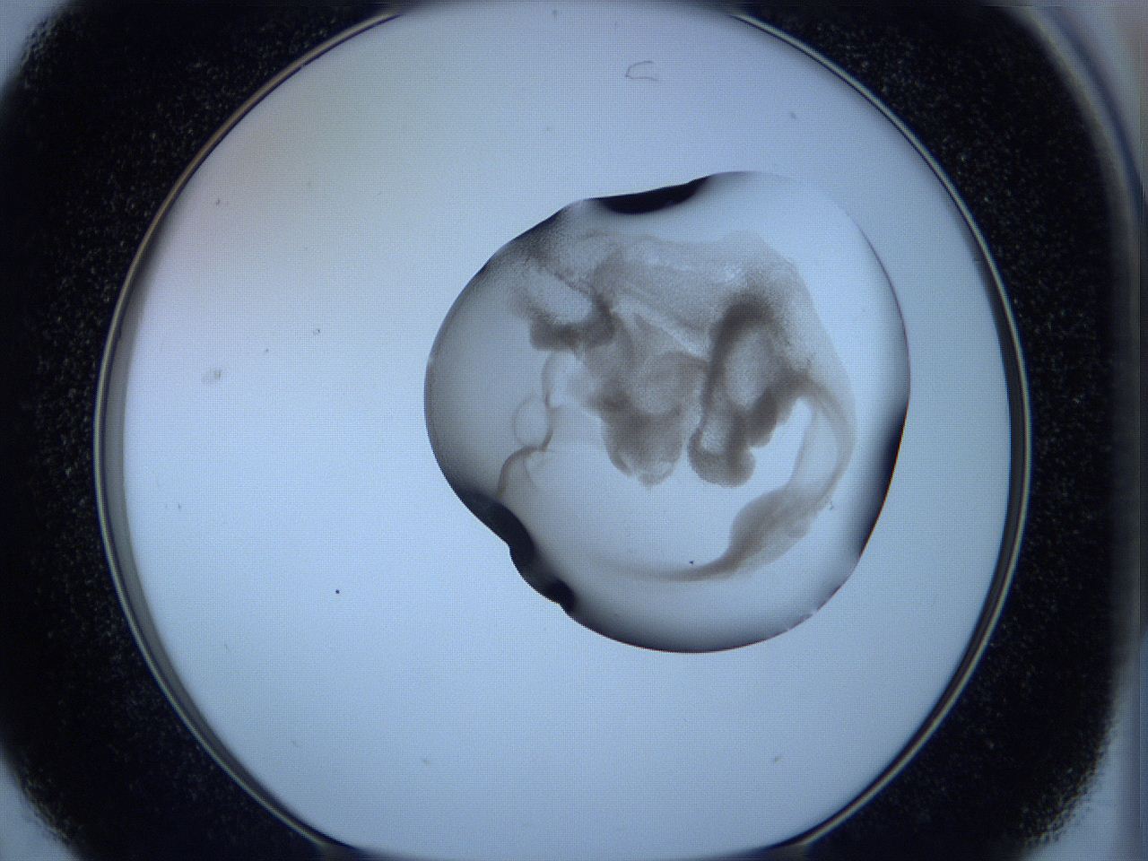 05w4_C7_ImagerDefaults_3.jpg