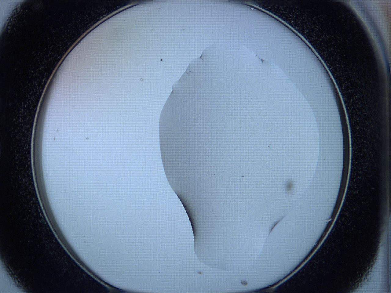 05w4_C8_ImagerDefaults_3.jpg