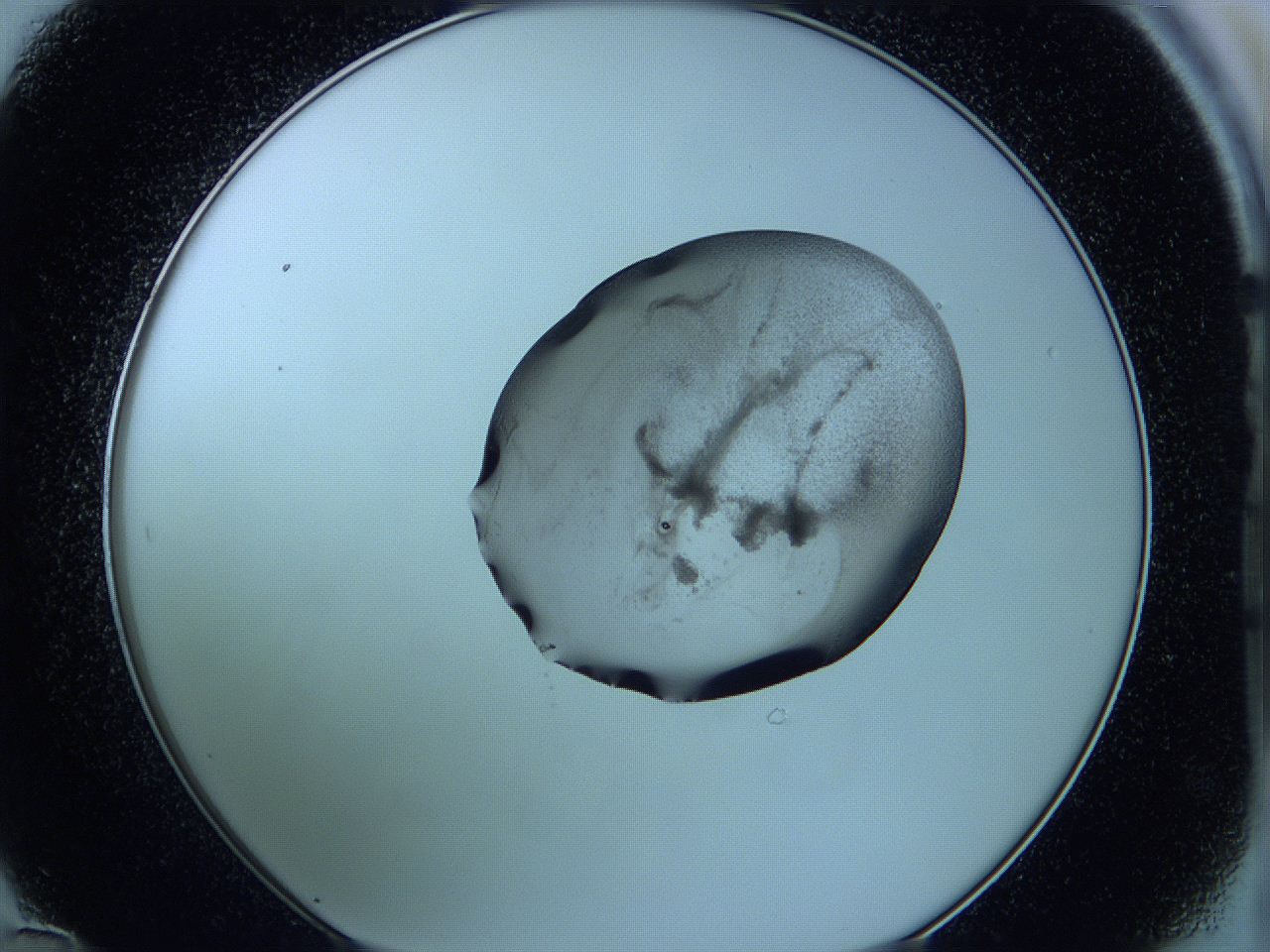 05w4_D12_ImagerDefaults_3.jpg