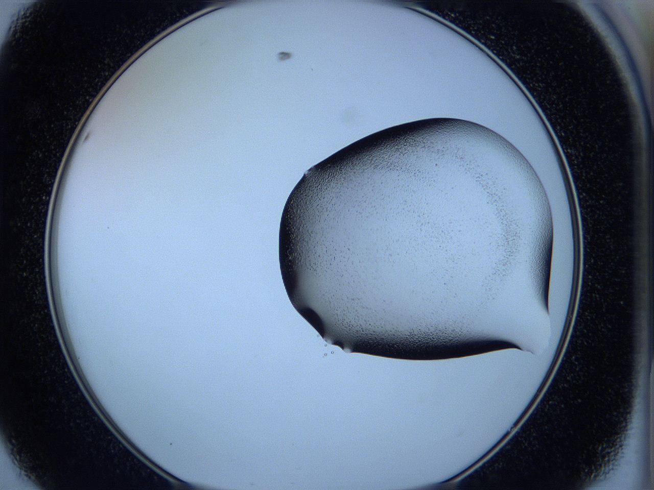 05w4_D8_ImagerDefaults_3.jpg