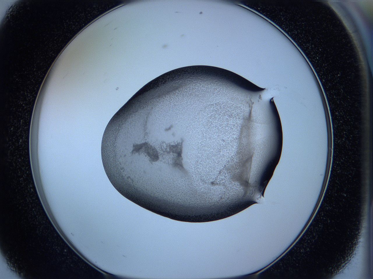 05w4_E8_ImagerDefaults_3.jpg