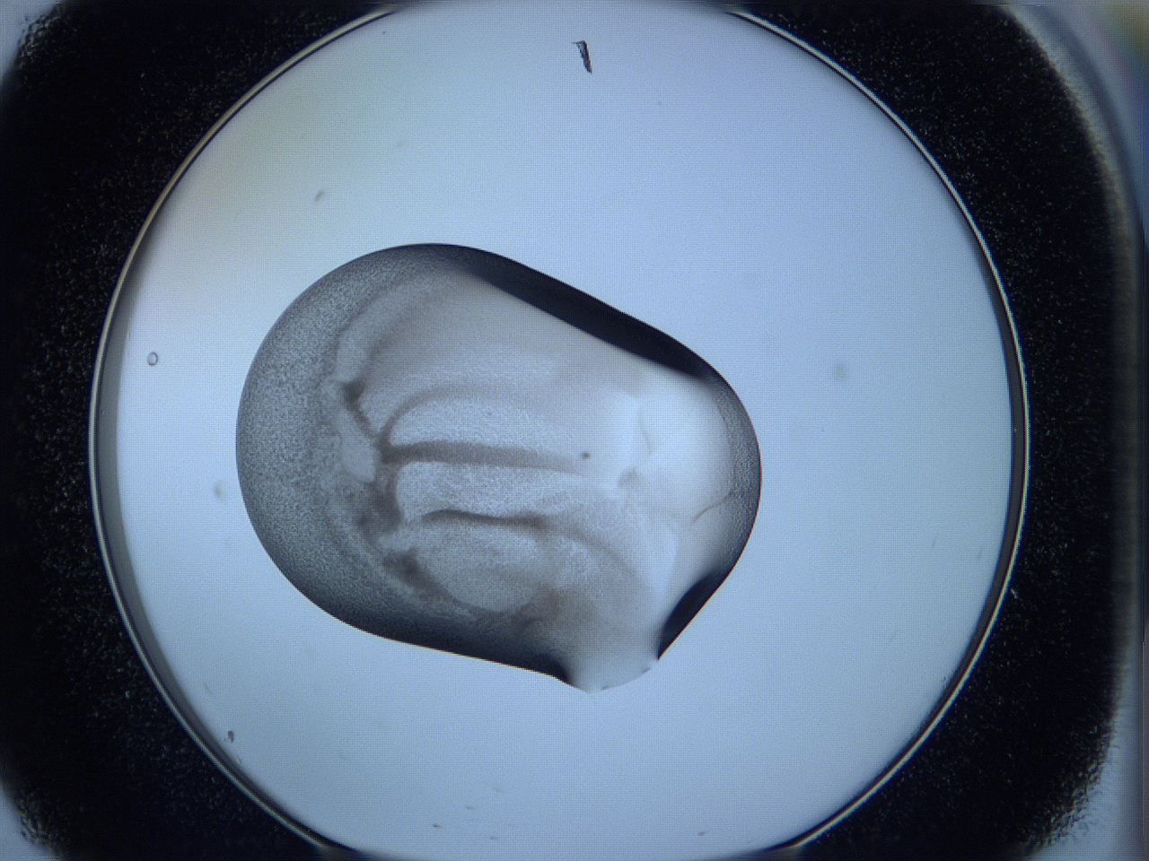 05w4_E9_ImagerDefaults_3.jpg
