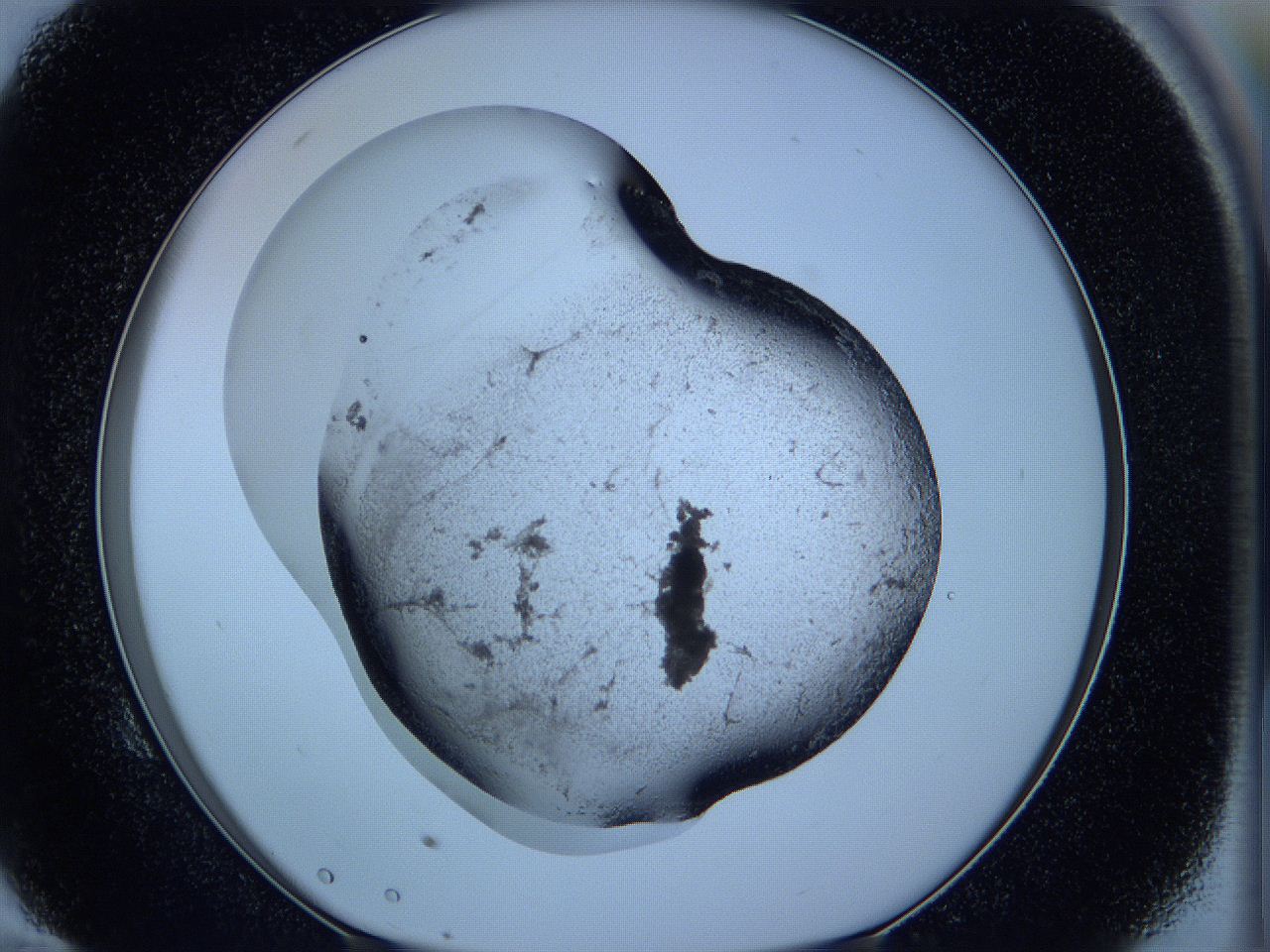 05w4_E10_ImagerDefaults_3.jpg