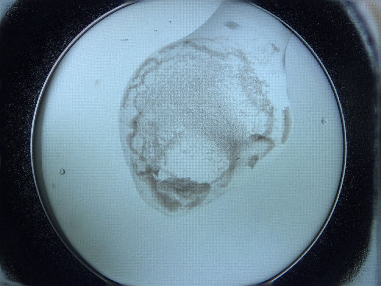 05w4_E12_ImagerDefaults_3.jpg