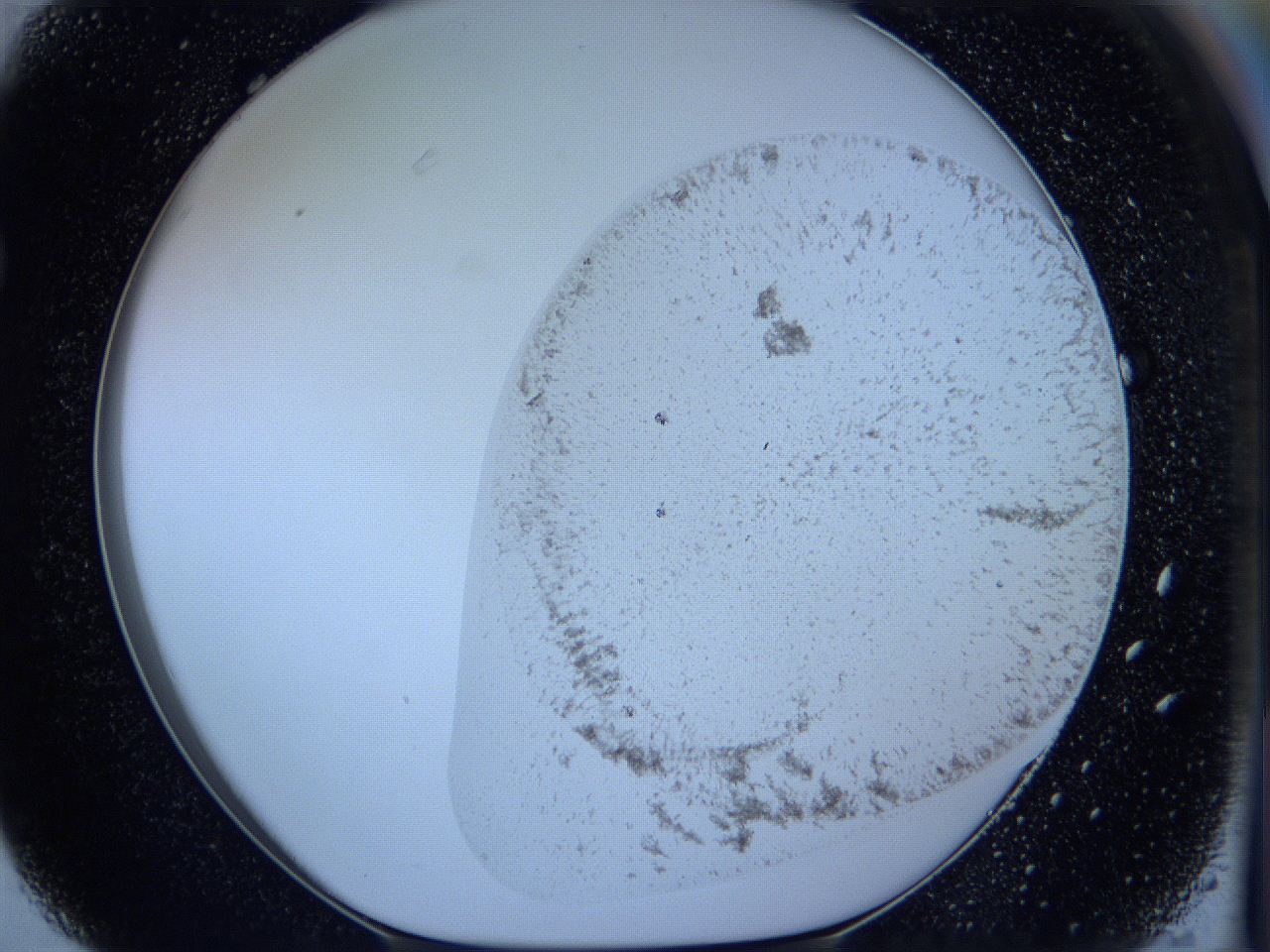 05w4_F3_ImagerDefaults_3.jpg