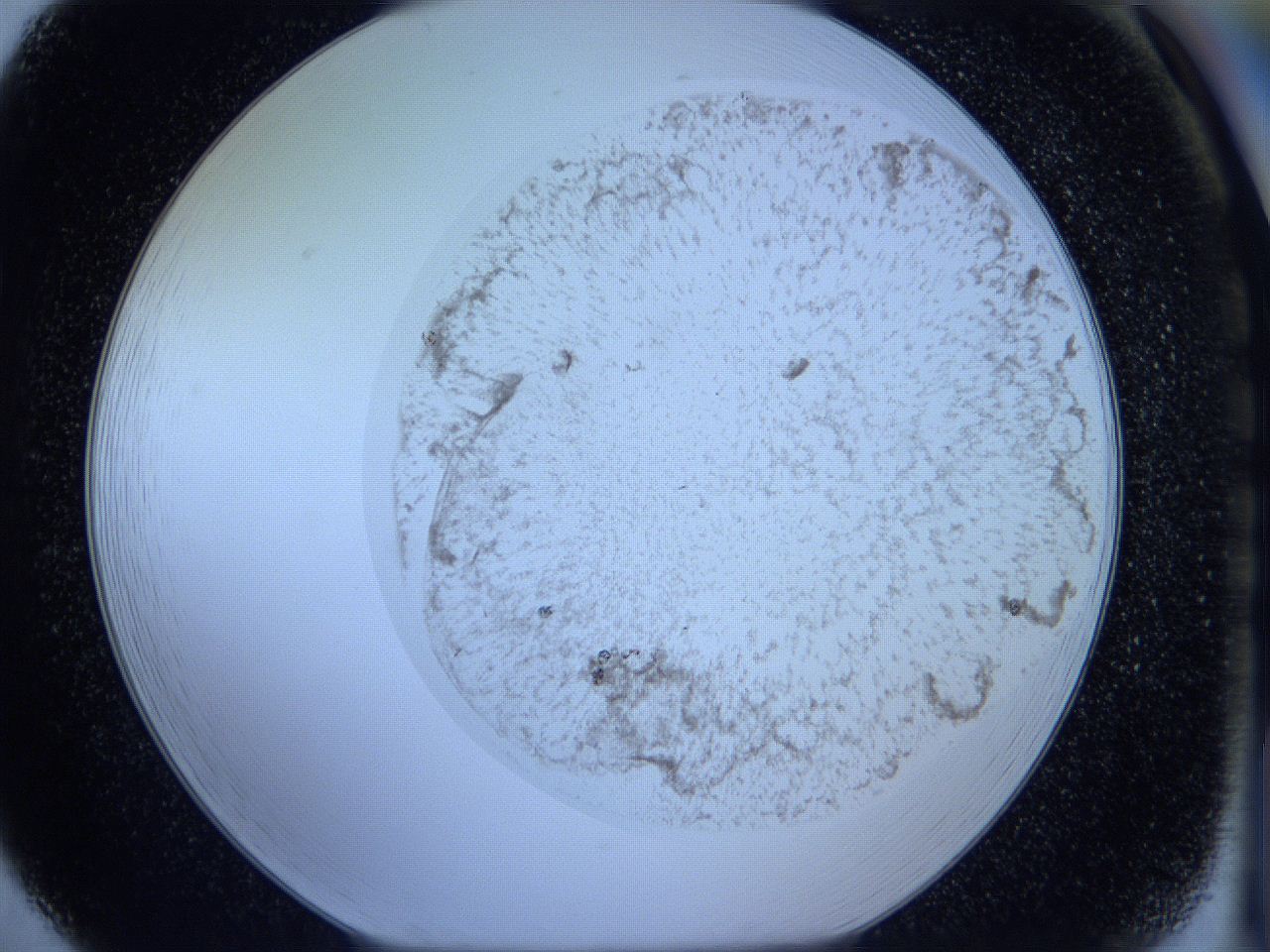05w4_F5_ImagerDefaults_3.jpg