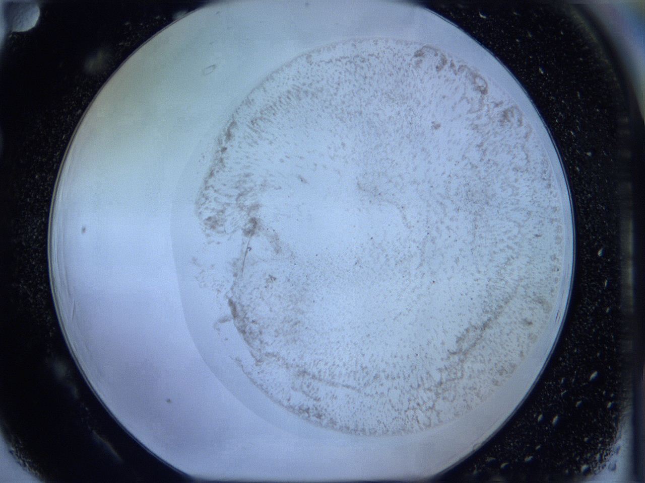 05w4_F6_ImagerDefaults_3.jpg