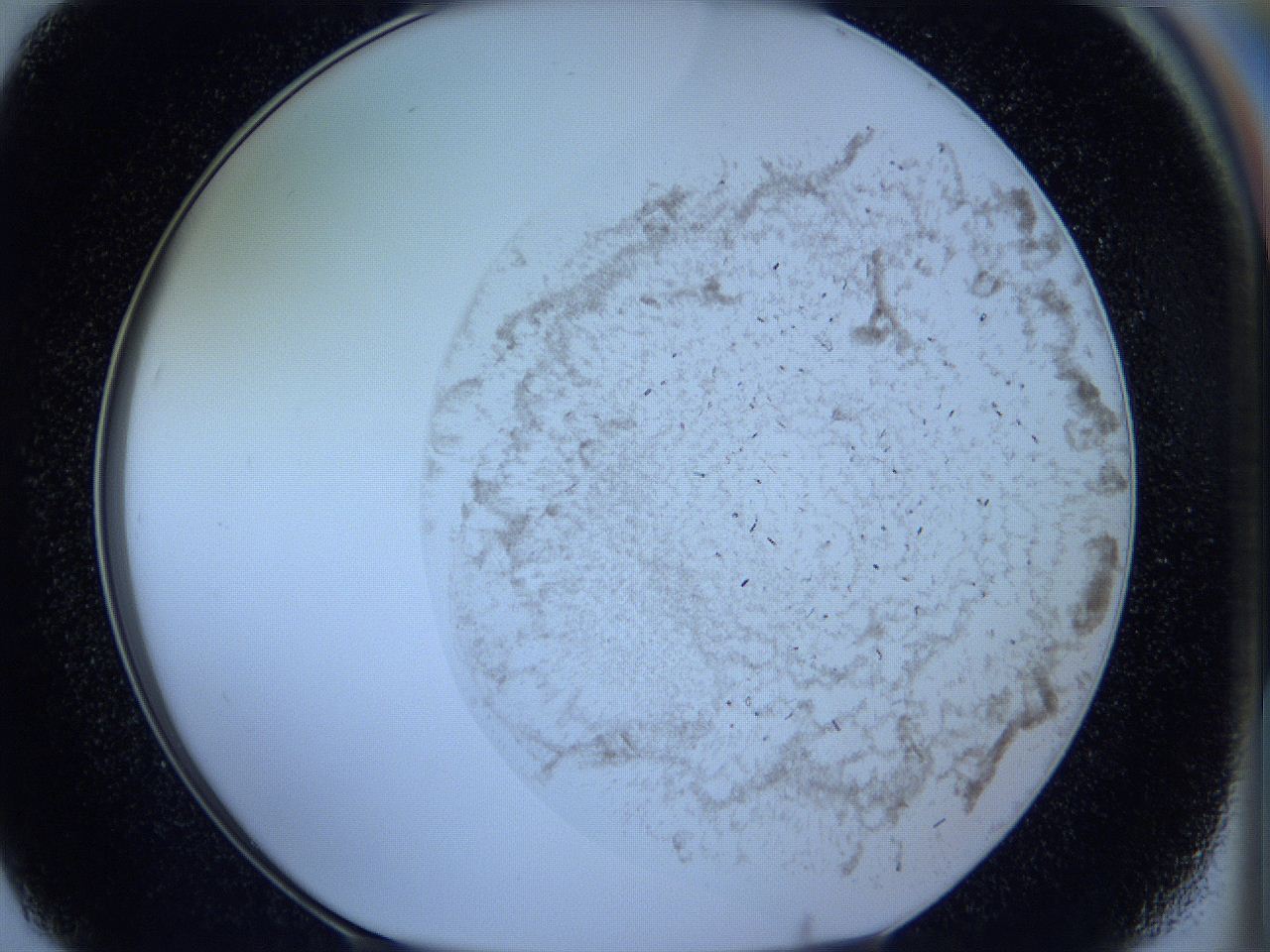 05w4_F7_ImagerDefaults_5.jpg