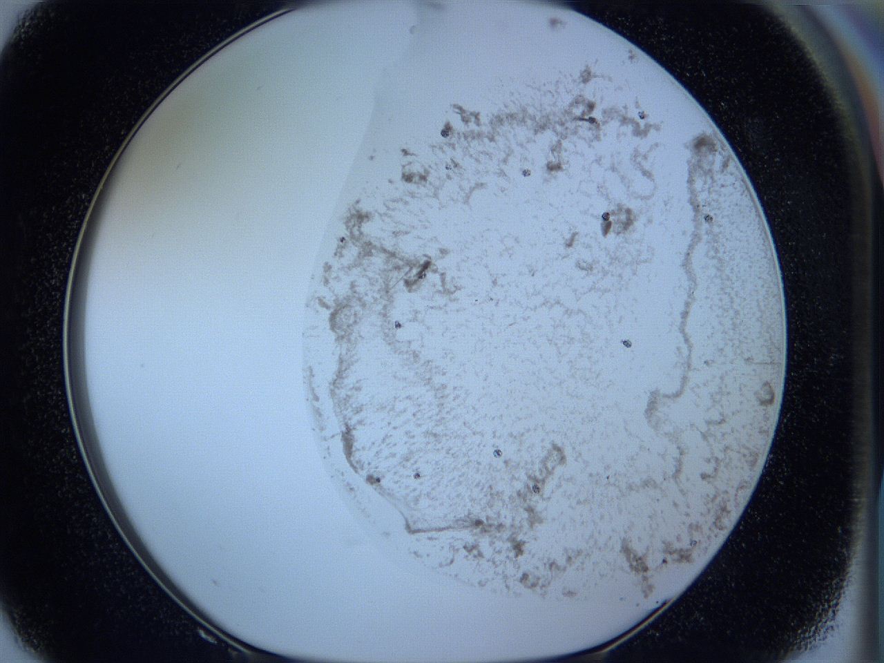 05w4_F8_ImagerDefaults_5.jpg