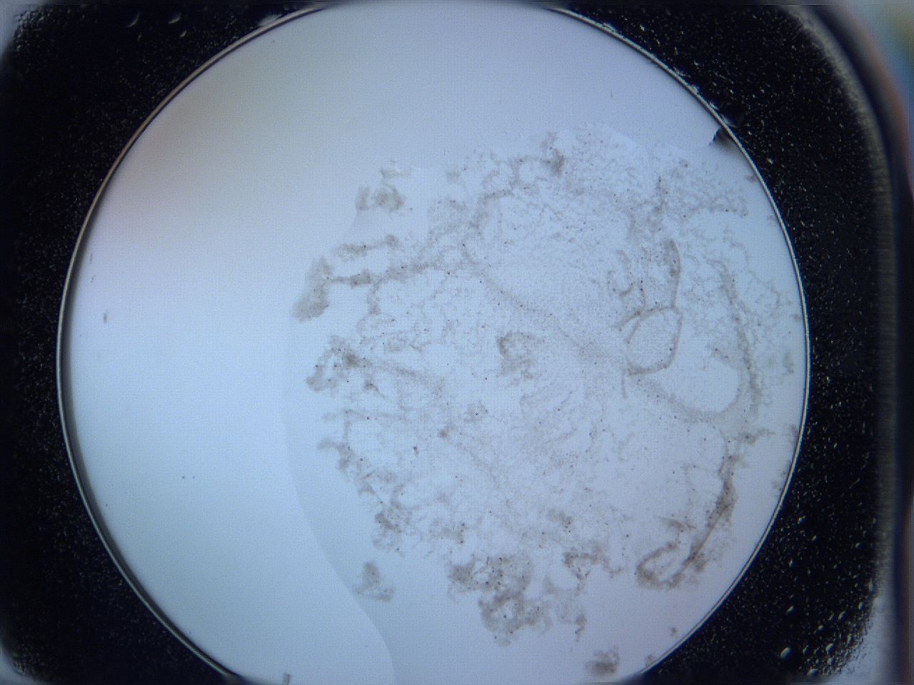05w4_F10_ImagerDefaults_3.jpg