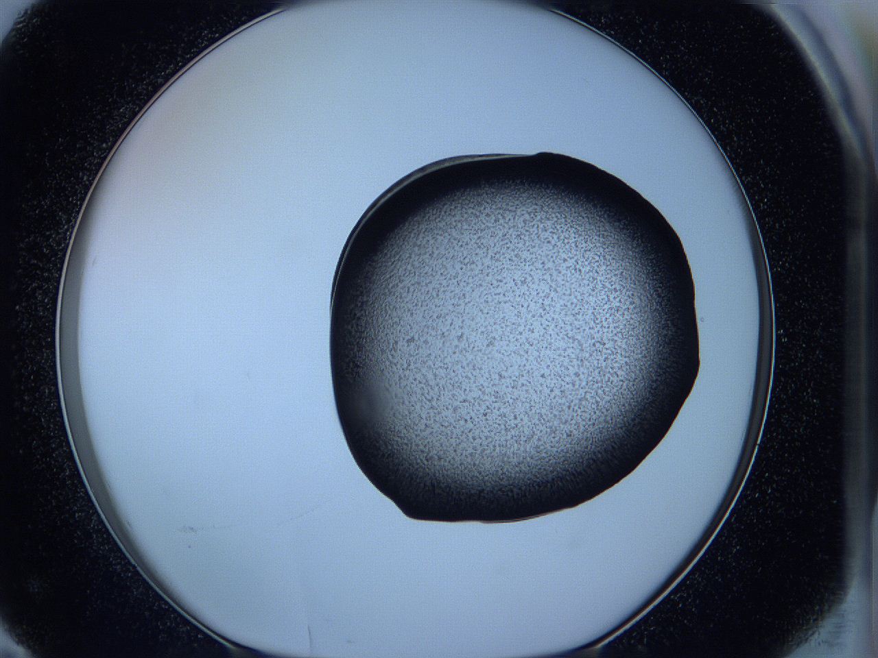 05w4_F11_ImagerDefaults_3.jpg