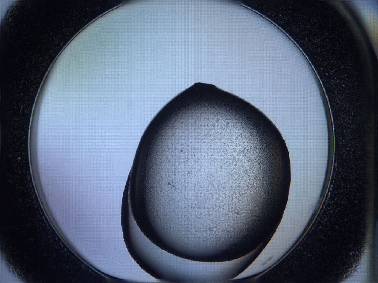 05w4_G5_ImagerDefaults_3.jpg
